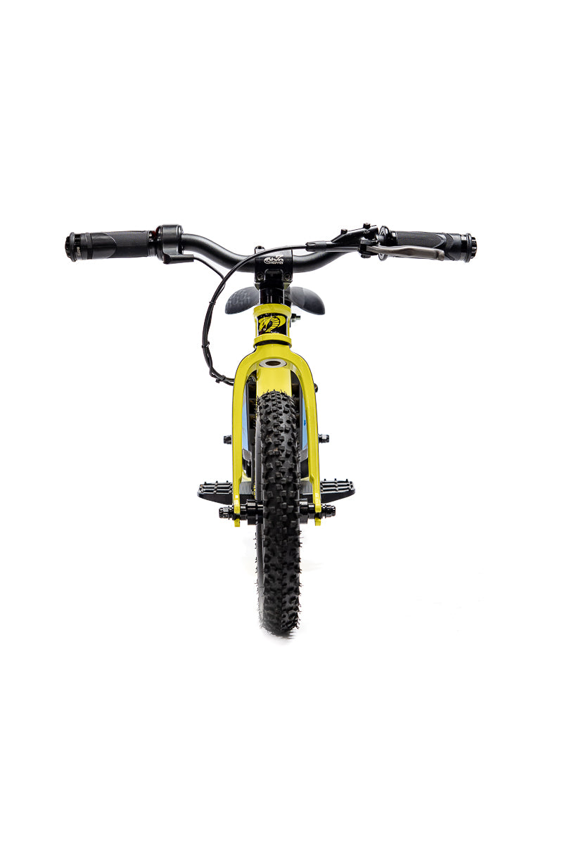 2026 Cobra CX1e – Minton Cycle